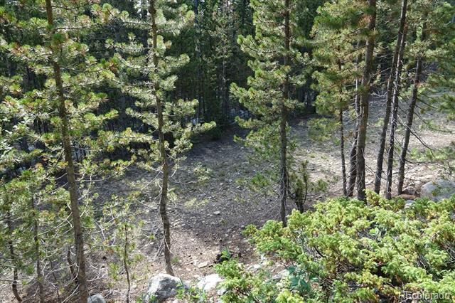 00 Upper Forest Rd, Idaho Springs, CO 80452