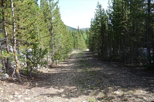 00 Upper Forest Rd, Idaho Springs, CO 80452