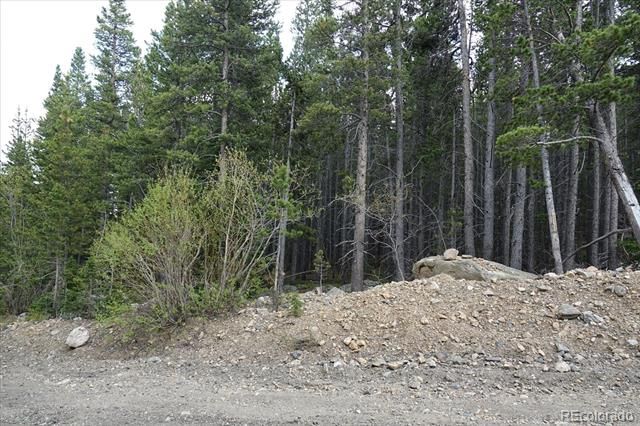 00 Upper Forest Rd, Idaho Springs, CO 80452