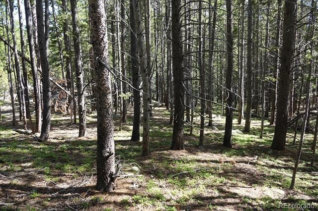 00 Upper Forest Rd, Idaho Springs, CO 80452