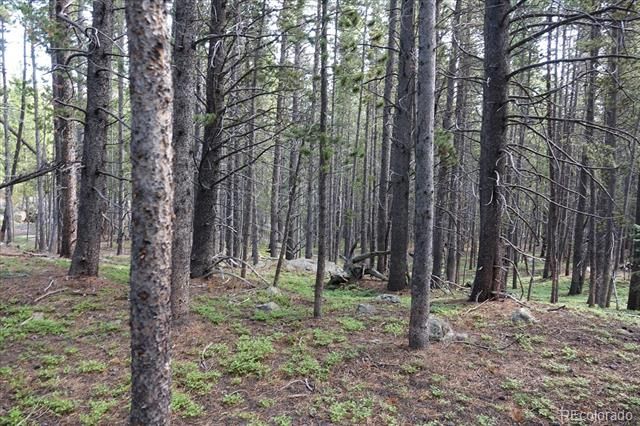 00 Upper Forest Rd, Idaho Springs, CO 80452