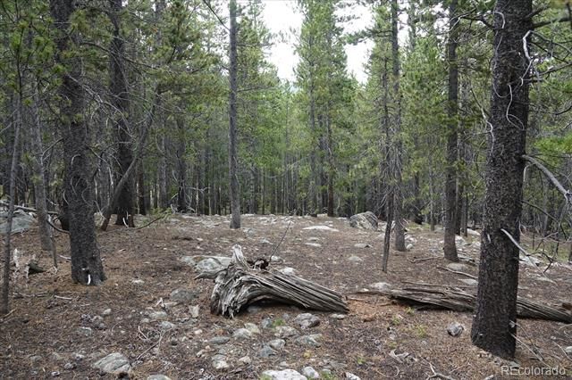 00 Upper Forest Rd, Idaho Springs, CO 80452