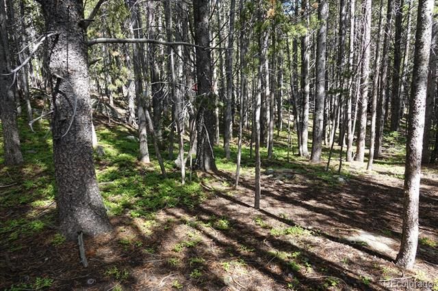 00 Upper Forest Rd, Idaho Springs, CO 80452