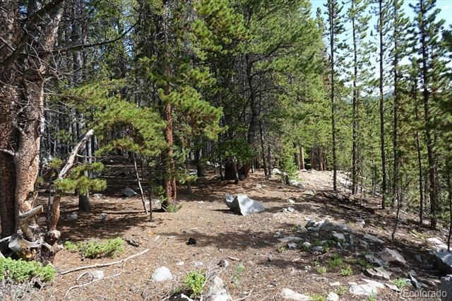 00 Upper Forest Rd, Idaho Springs, CO 80452