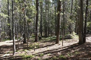 00 Upper Forest Rd, Idaho Springs, CO 80452