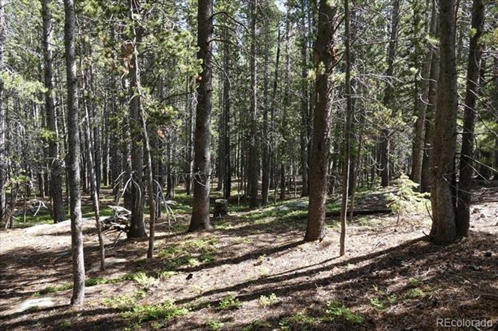 00 Upper Forest Rd, Idaho Springs, CO 80452