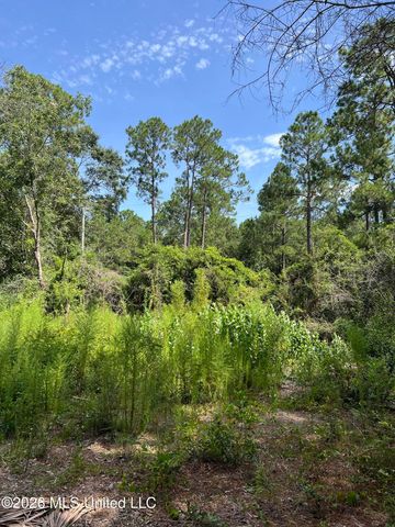 Mennonite Road, Gulfport, MS 39503