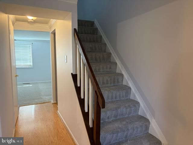 6581 PRESSED GENTIAN, Columbia, MD 21045