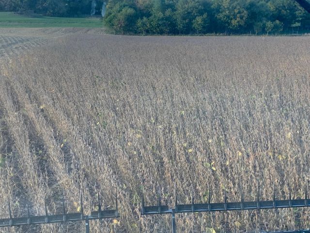 TBD 430th Street, Pelican Rapids, MN 56572