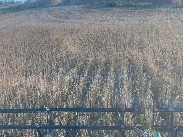 TBD 430th Street, Pelican Rapids, MN 56572