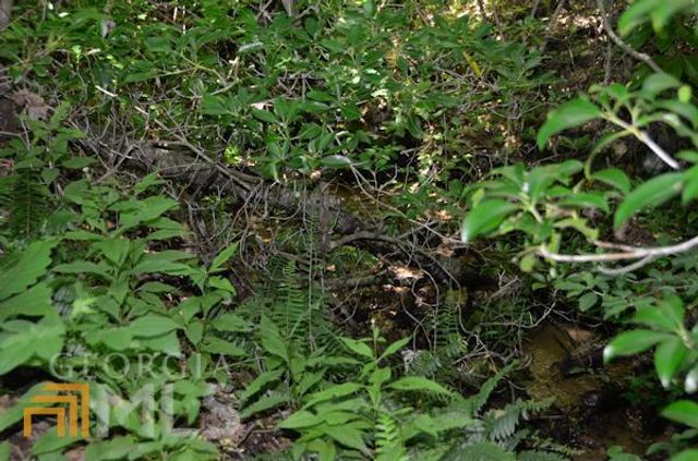 0 Bob Hoover LOT 78, Clayton, GA 30525