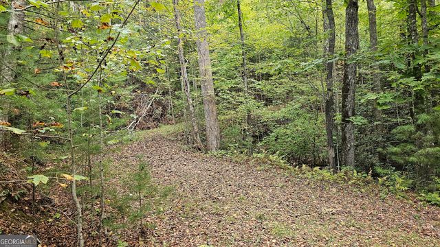 0 Bob Hoover LOT 78, Clayton, GA 30525