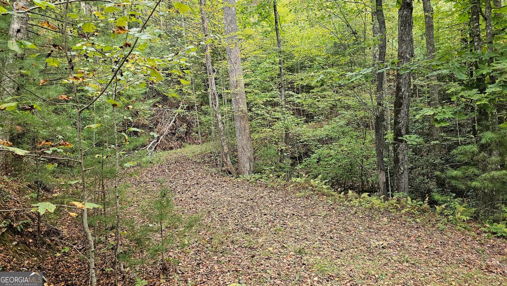 0 Bob Hoover LOT 78, Clayton, GA 30525 — photo 3