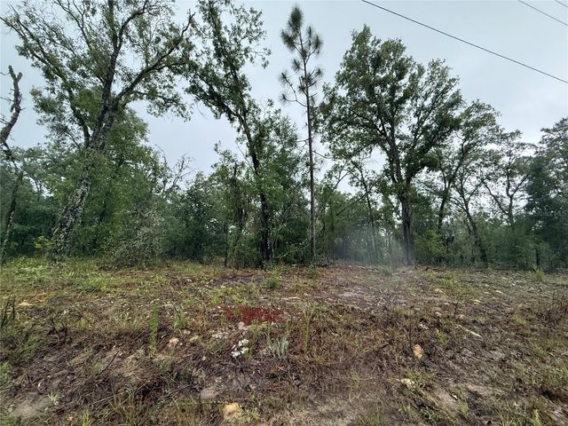 1900 W MAGENTA DRIVE, Dunnellon, FL 34434