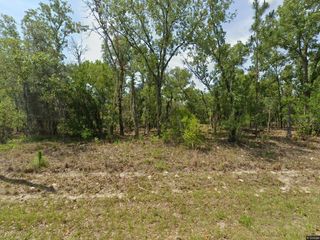 1900 W MAGENTA DRIVE, Dunnellon, FL 34434
