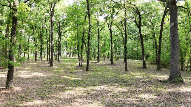 Lot 62 Anchor Point, Quinlan, TX 75474