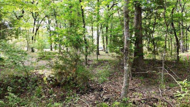 Lot 62 Anchor Point, Quinlan, TX 75474