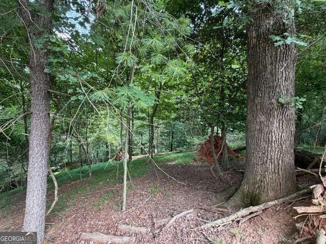 LOT 403 Crown Court, Ellijay, GA 30540