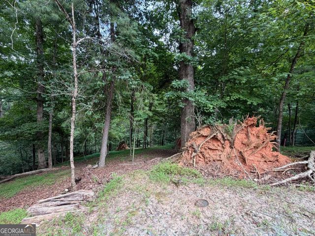 LOT 403 Crown Court, Ellijay, GA 30540