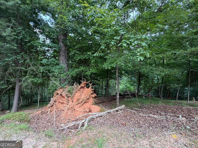 LOT 403 Crown Court, Ellijay, GA 30540