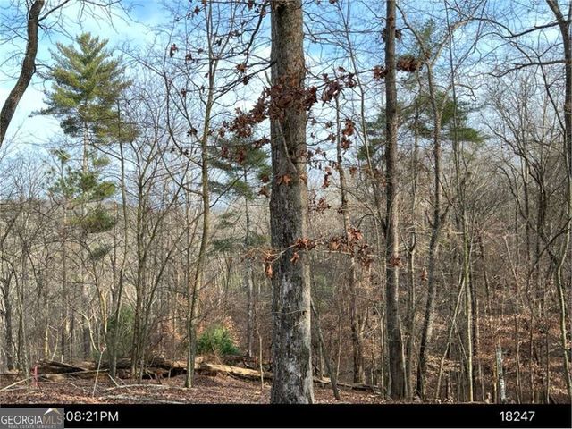 LOT 403 Crown Court, Ellijay, GA 30540