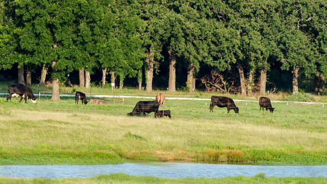 400 Smith Ranch Road, Collinsville, TX 76233