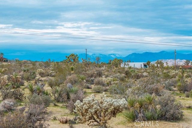 7032 Saddleback Road, Joshua Tree, CA 92252
