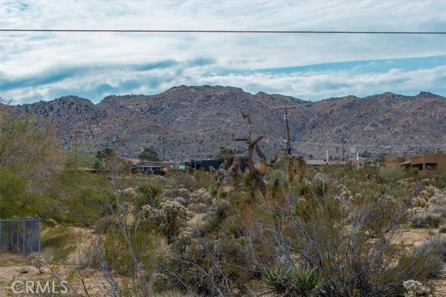 7032 Saddleback Road, Joshua Tree, CA 92252