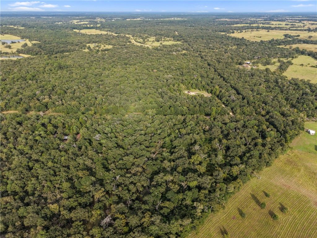 TBD CR 102, Leona, TX 75850 — photo 2