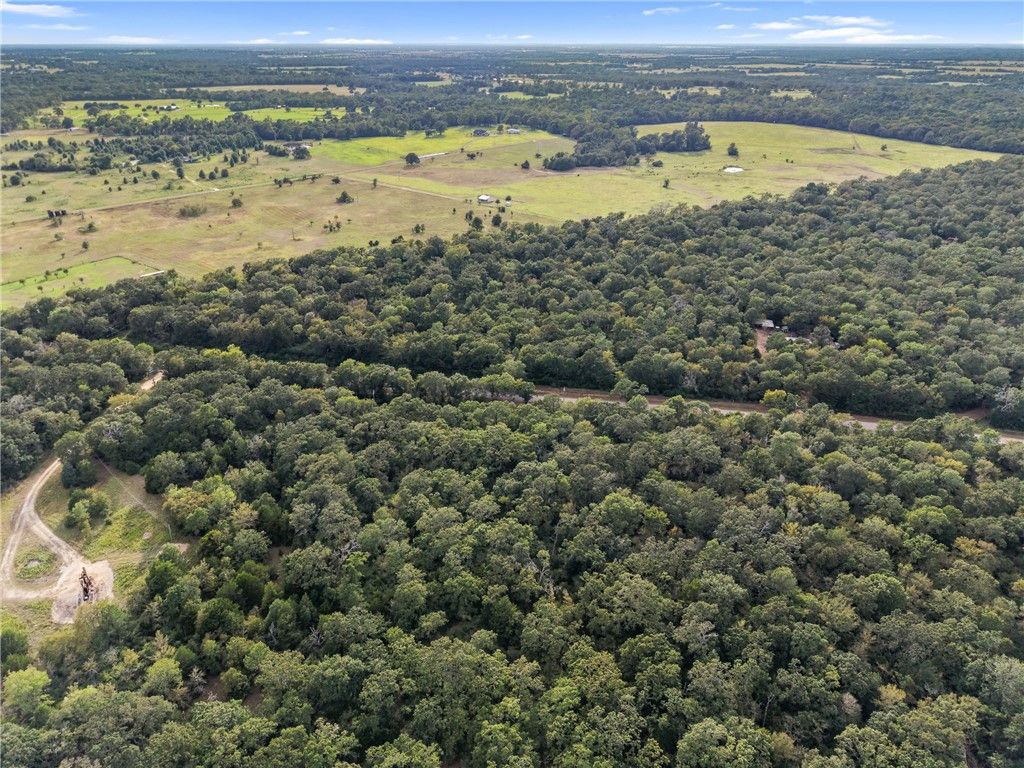 TBD CR 102, Leona, TX 75850 — photo 5