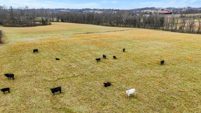 1346 Mundys Landing Road, Versailles, KY 40383