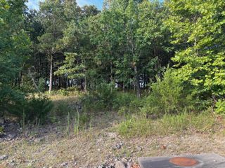 Tbd Pebble Beach Court, Branson, MO 65616