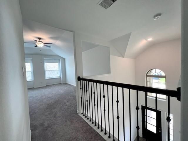 4826 Albany Ridge Lane, Rosharon, TX 77583