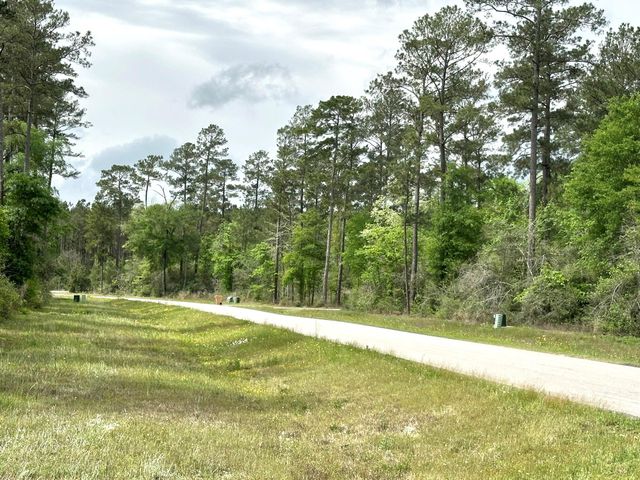 15812 Wood Grove Way, Willis, TX 77378