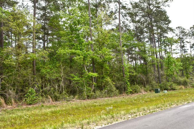 15812 Wood Grove Way, Willis, TX 77378