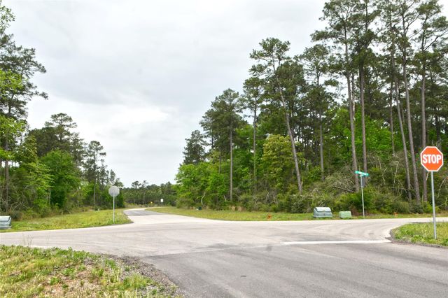 15812 Wood Grove Way, Willis, TX 77378