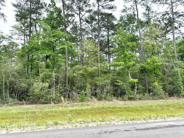 15812 Wood Grove Way, Willis, TX 77378