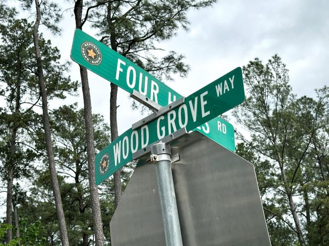 15812 Wood Grove Way, Willis, TX 77378