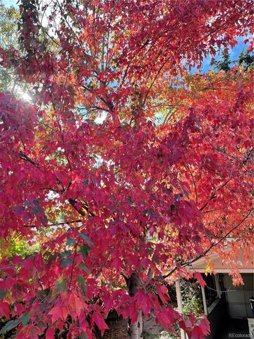 1143 S Corona Street, Denver, CO 80210