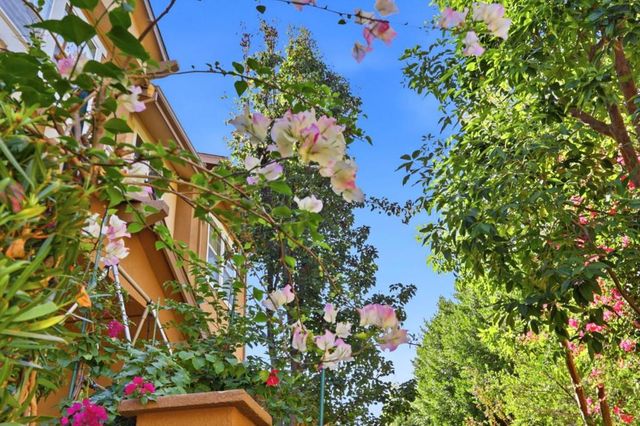 161 Salmar Terrace, Campbell, CA 95008
