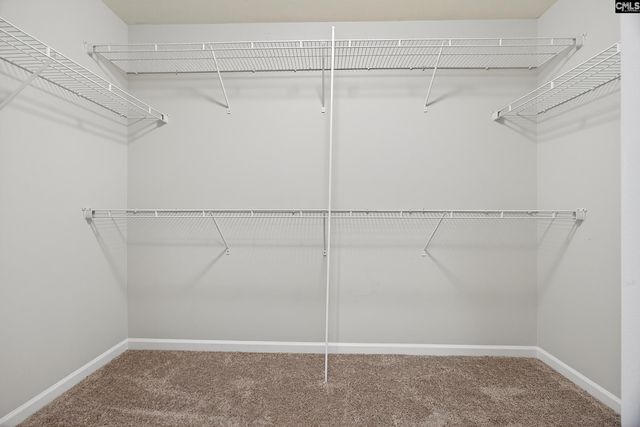 450 Laurel Mist Lane, West Columbia, SC 29170