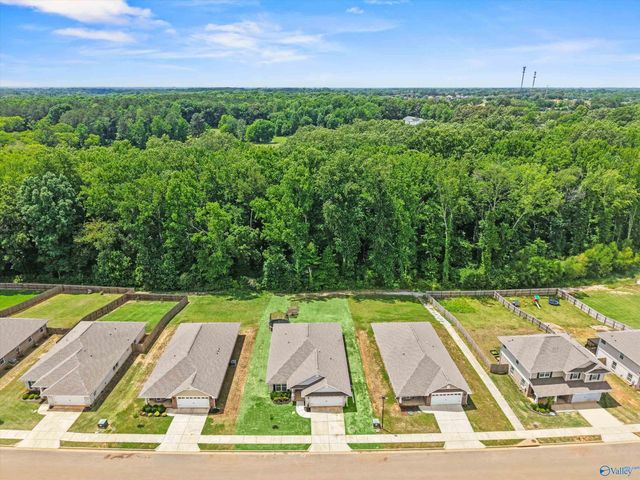 14275 Wildflower Drive, Harvest, AL 35749