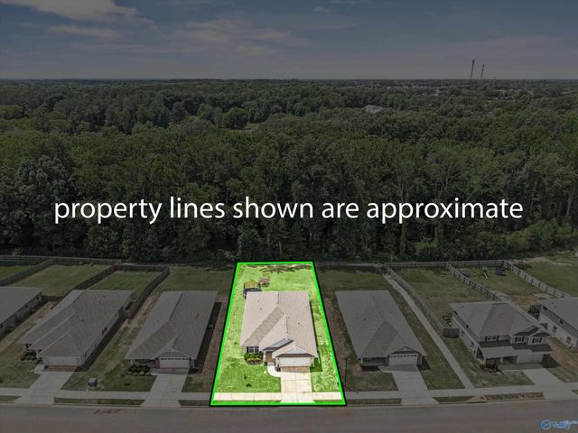 14275 Wildflower Drive, Harvest, AL 35749