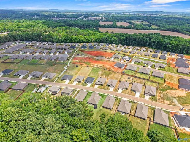14275 Wildflower Drive, Harvest, AL 35749