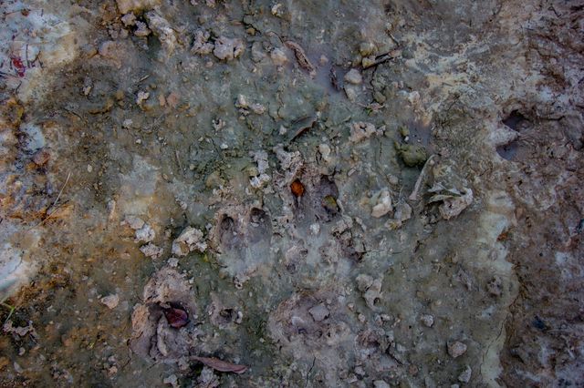 TBD E. Hackley, Perrin, TX 76486