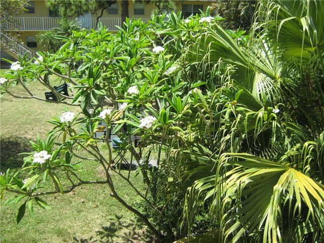 5162 NE 6th Avenue 317, Oakland Park, FL 33334