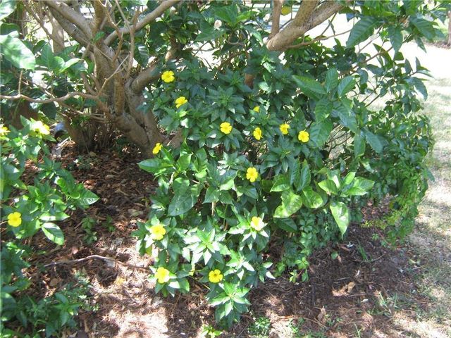 5162 NE 6th Avenue 317, Oakland Park, FL 33334