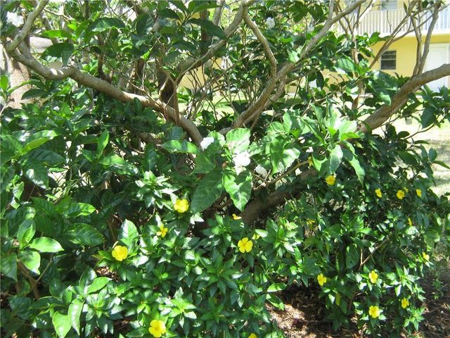 5162 NE 6th Avenue 317, Oakland Park, FL 33334