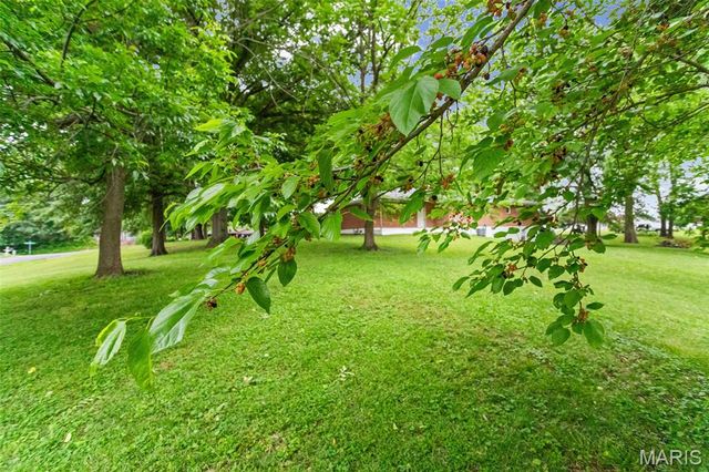411 E Roosevelt Drive, Moro, IL 62067
