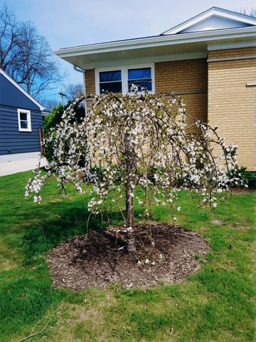 18547 Lexington Avenue, Homewood, IL 60430